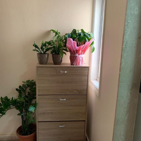 Mini Penthouse لارنكا المظهر الخارجي الصورة